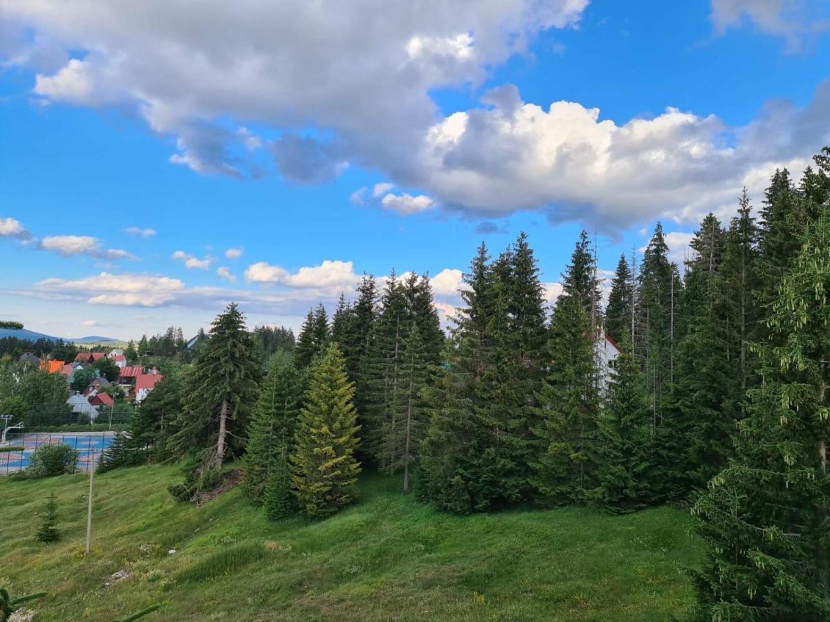 Turisticki Apartmani “Kraljeva Stolica” Žabljak Eksteriør billede